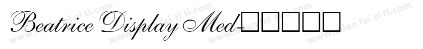 Beatrice Display Med字体转换